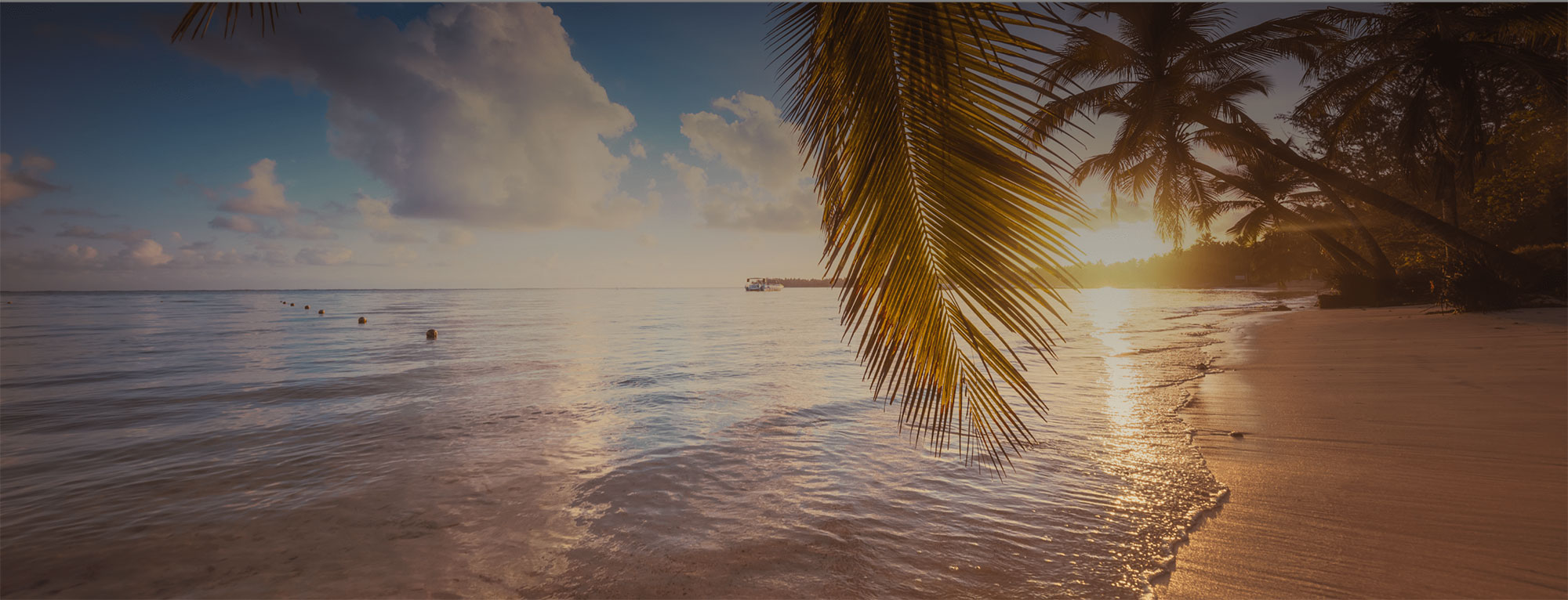 Tropical vacation travel protection